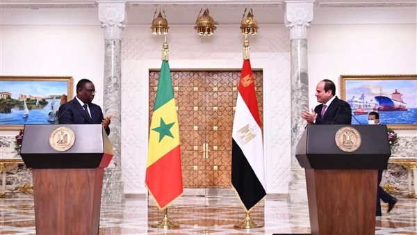 الخارجية: العلاقات مع الدول الأفريقية الشقيقة في مقدمة أولويات السياسة الخارجية المصرية 1 9891701632942