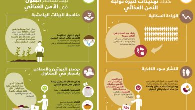 FAO Infographic IYP2016 FoodSecurity ar1702876863