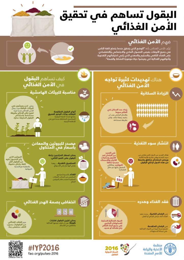 "الجمهورية": الجهود المصرية لا تتوقف من أجل تحقيق الأمن الغذائي 1 FAO Infographic IYP2016 FoodSecurity ar1702876863