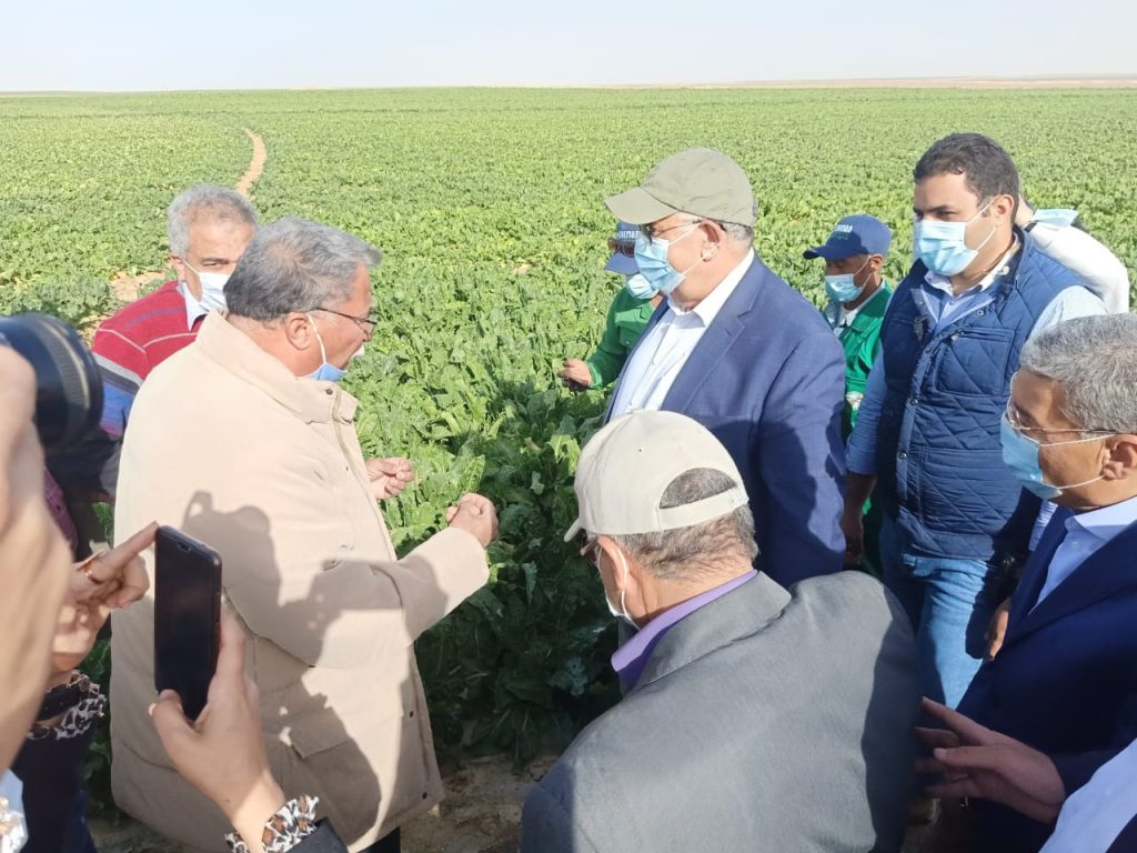 مستشار وزير الزراعة: القمح في مقدمة اهتمامات القيادة السياسية لتحقيق الأمن الغذائي للمواطنين 1 IMG 20210411 WA01011702546324