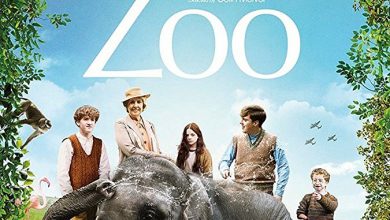 Zoo 20171703432167