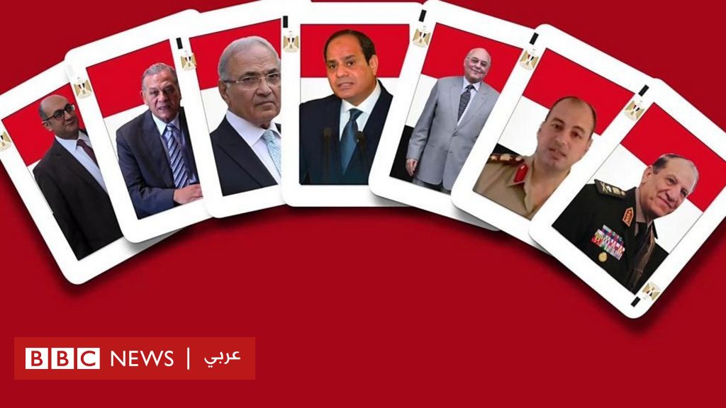 رئيس بعثة دولية:انتخابات الرئاسة المصرية ستكتب في التاريخ .. والمصريون تمكنوا من التصويت دون اية عوائق 1