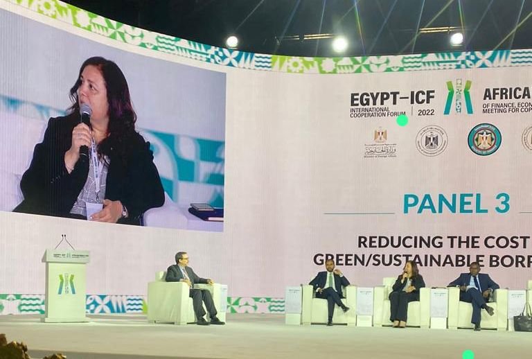 وكيل العلاقات الخارجية بالنواب تؤكد أهمية مبادلة ديون الدول النامية بمشروعات للتكيف المناخي 1 elaosboa51409 11703151963