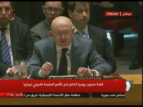 مندوب روسيا في مجلس الأمن يدعو إلى التوصل لتسوية فلسطينية إسرائيلية دائمة 1 hqdefault1703881145