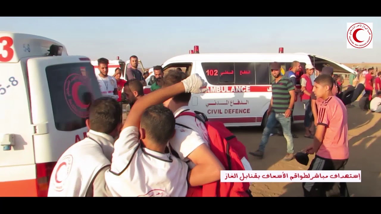 "الهلال الأحمر الفلسطيني": استلمنا 4760 شاحنة مساعدات عبر معبر "رفح" خلال شهرين تقريبًا 1