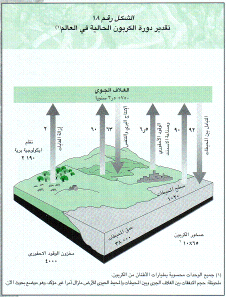 جلوبال (3): Terrascope تعلن عن قدرتها على قياس الانبعاثات الناتجة عن الغابات والأراضي والزراعة وتقليلها على منصتها الخاصة بإزالة الكربون 1 y0900a0381703226606