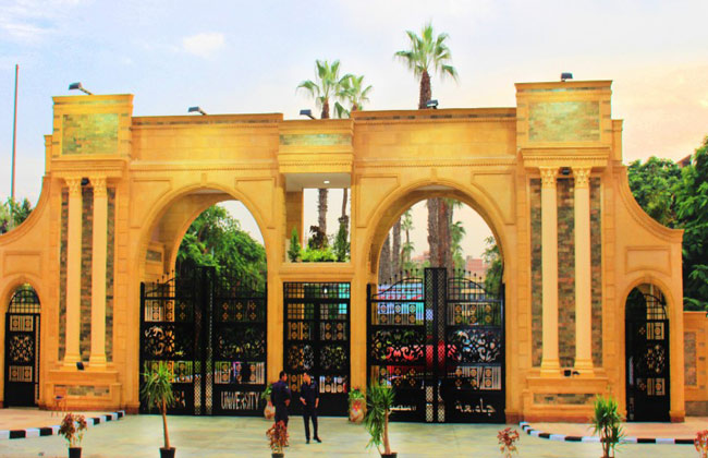 جامعة المنصورة1703167983