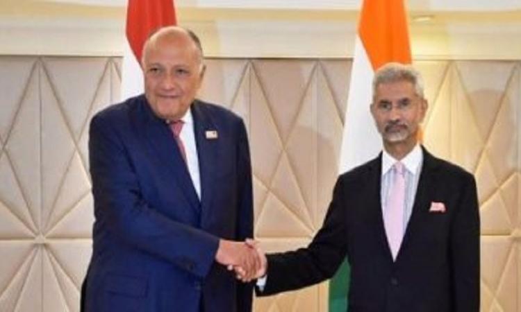 سامح شكري يؤكد لوزير خارجية الهند على خصوصية وأهمية العلاقات الاستراتيجية بين الدولتين 1 167794551801705653365