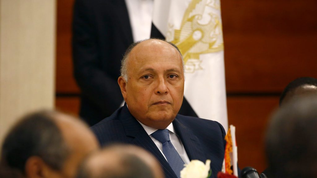 شكرى: مصر تستمر فى السعى لتعزيز العلاقات الثنائية .............. إضافة أولى 1 1871171705232643