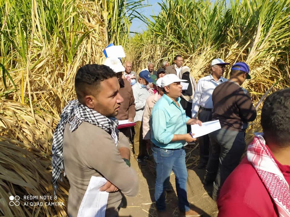 محافظ قنا: لا نألو جهدا لتطوير زراعة قصب السكر وزراعة أصناف ذات إنتاجية عالية 1 2020 637427811677418309 7411704881587