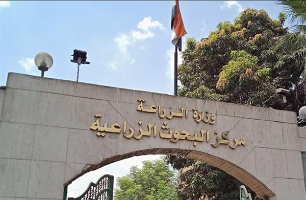 "البحوث الزراعية" و"البحث العلمي" يعلنان نتيجة الدورة الأولى لحاضنة الأعمال "أرك كابي" 1 2022 637908333180371384 371705316403