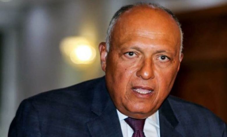 شكري يؤكد مجددا الرفض التام للإجراءات المتخذة لإجبار الشعب الفلسطيني بغزة على التهجير 1 9182201704792368