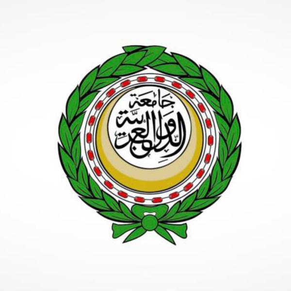 الجامعة العربية تؤكد أهمية توحيد الجهود للقضاء على الأمية في الوطن العربي 1 9658001704885183
