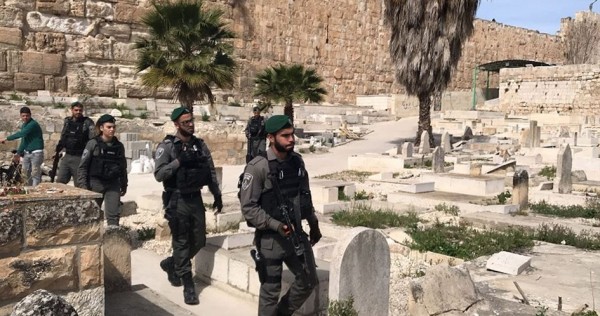 بعد سرقة أعضاء من بعضها ... دفن 100 جُثمان سلمها الاحتلال الإسرائيلي في مقبرة جماعية بغزة 1 99988874401706618284