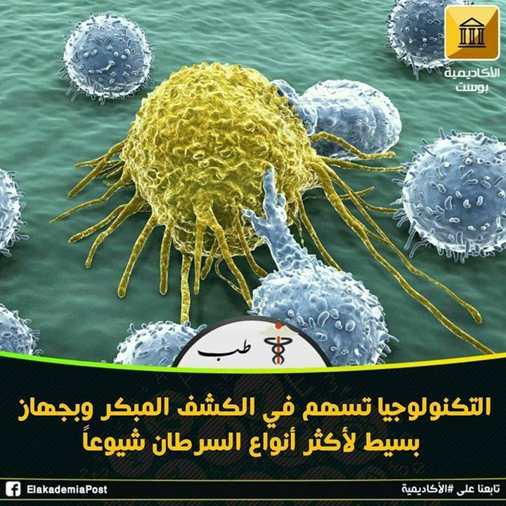 جلوبال (6): حالة العلاج السريري الأولى في العالم لمعالجة اعتلال الهيموجلوبين بواسطة تقنية تعديل القواعد الوراثية 1 9b1e62c1cb8bf549d705266c37bd2ef01704799923