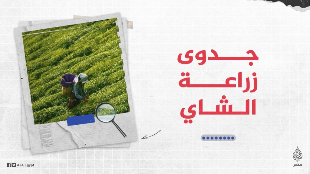 متحدث وزارة الزراعة: المنتج المصري أثبت جودته عالميا 1 FwzZiouXsAUqO781705309383