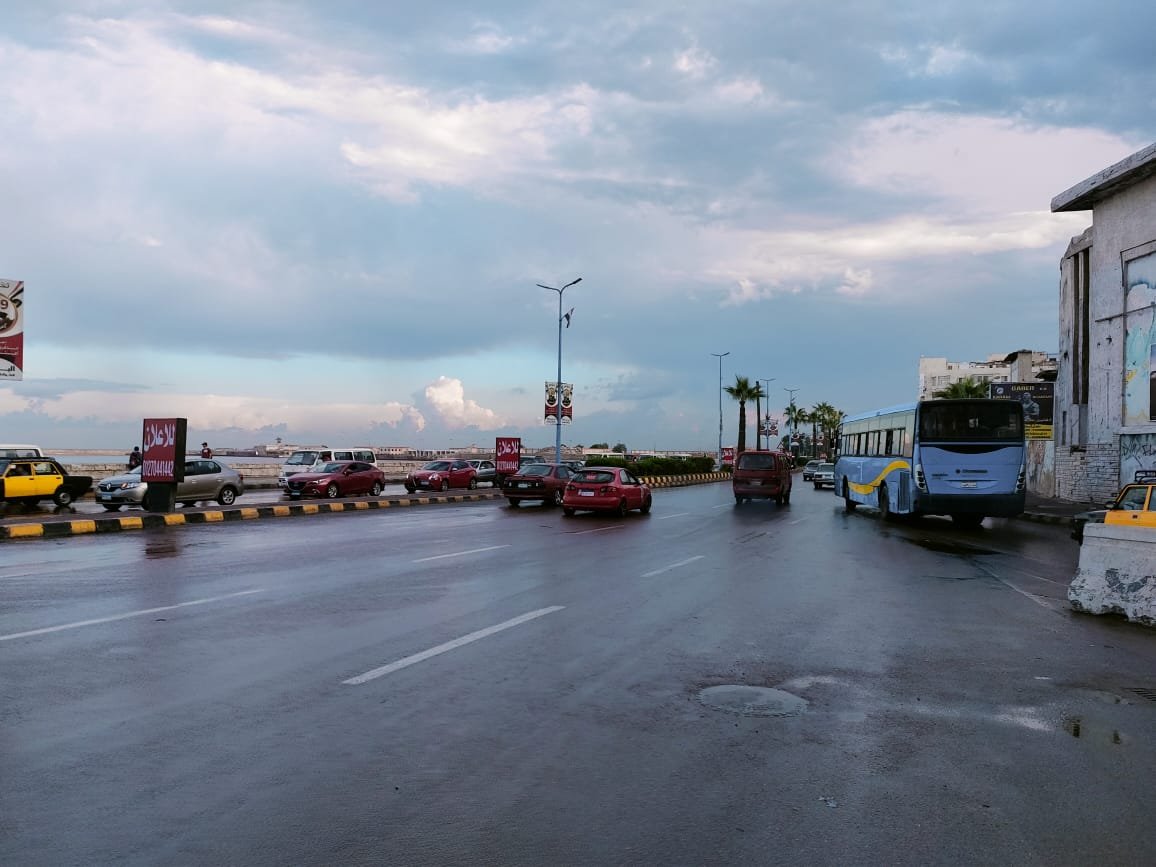 محافظ الاسكندرية يكلف الأجهزة التنفيذية بإيقاف حالات التعدي على الأراضي الزراعية وإزالة البناء المخالف 1 elaosboa675891704390303