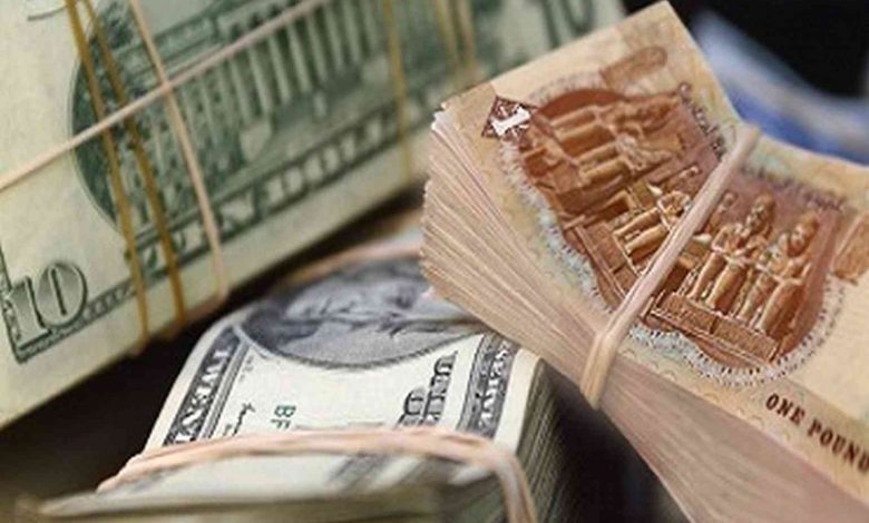 استقرار أسعار صرف الدولار مقابل الجنيه المصري في بداية تعاملات اليوم 1 image1705308186