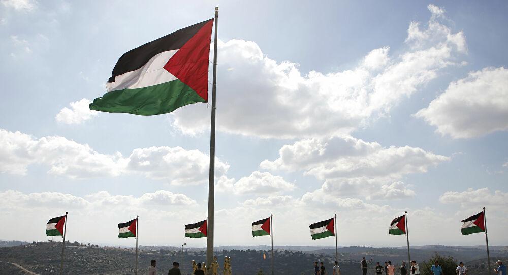 مصر تجدد موقفها الثابت في مناصرة الحق الفلسطيني تجاه محاولات "تصفية القضية" 1 img 5fcd244d5930a1705924745