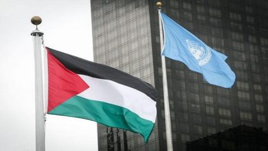 الأمم المتحدة فلسطين1704926523