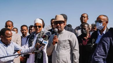 رئيس الوزراء الإثيوبي يصل عاصمة الإدارة الصومالية لتفقد المناطق المتضررة من الجفاف صور 768x6141705491124