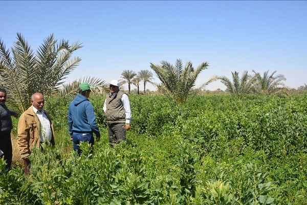 حقل ارشادى بالوادى الجديد1706884983