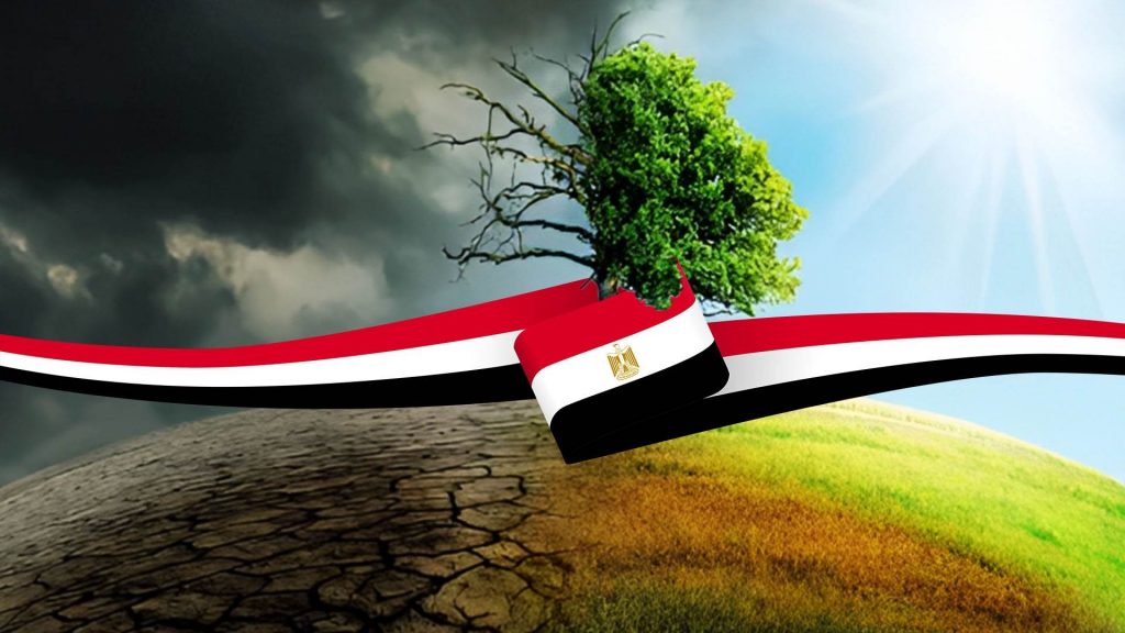 محافظ المنوفية يثمن جهود "100 مليون شجرة" في مواجهة التغيرات المناخية 1 125581709042525