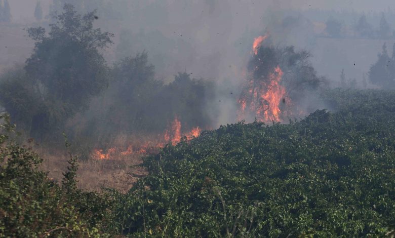 1316191 الحرائق تلتهم أشجار الغابات فى تشيلى1707211203