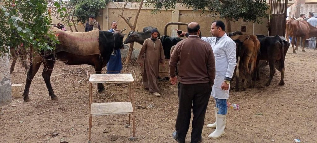 "الصحة الحيوانية" ينظم قافلة بيطرية مجانية بالفيوم 1 4 21 e16422425986371707299523