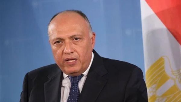 شكري يشيد بمواقف بوليفيا حيال الوضع المتفاقم في غزة.. ويثني على مستوى التنسيق مع أوروجواي 1 7281708537327