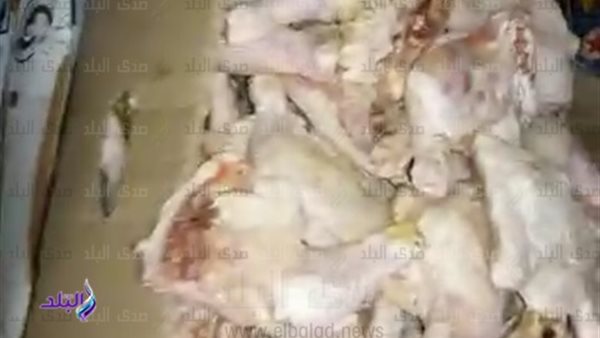 محافظة الجيزة: ضبط 3.5 طن لحوم ودواجن فاسدة باكتوبر وزايد والعجوزة والدقي وبولاق الدكرور 1 7831708171383