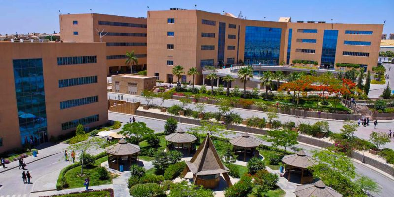 الجامعة الألمانية ومستشفى وادي النيل يوقعان بروتوكولًا لتدريب الطلاب ميدانيًا على أحدث التقنيات 1 الجامعة الألمانية بالقاهرة