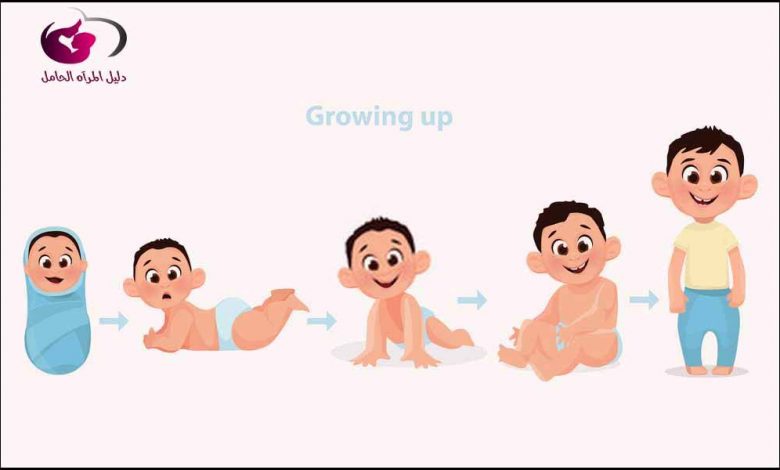 مراحل نمو الطفل الرضيع1707486303