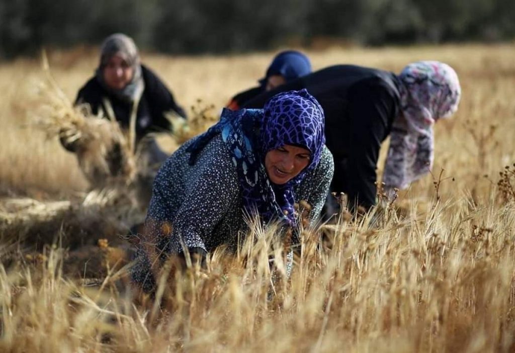 "كيميت بطرس غالي": التجربة المصرية في ملف تمكين المرأة نموذج يحتذى بالمنطقة ومثار إشادات عالمية 1 111 11709893443