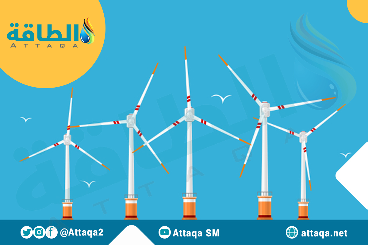جلوبال (9): Shanghai Electric تطور تكنولوجيا طاقة الرياح مع طريقة تقدير خشونة الشفرة المبتكرة بواسطة الخبير Koji Fukami 1 3ef2314af7d08064284fcb405833f84f1711561203
