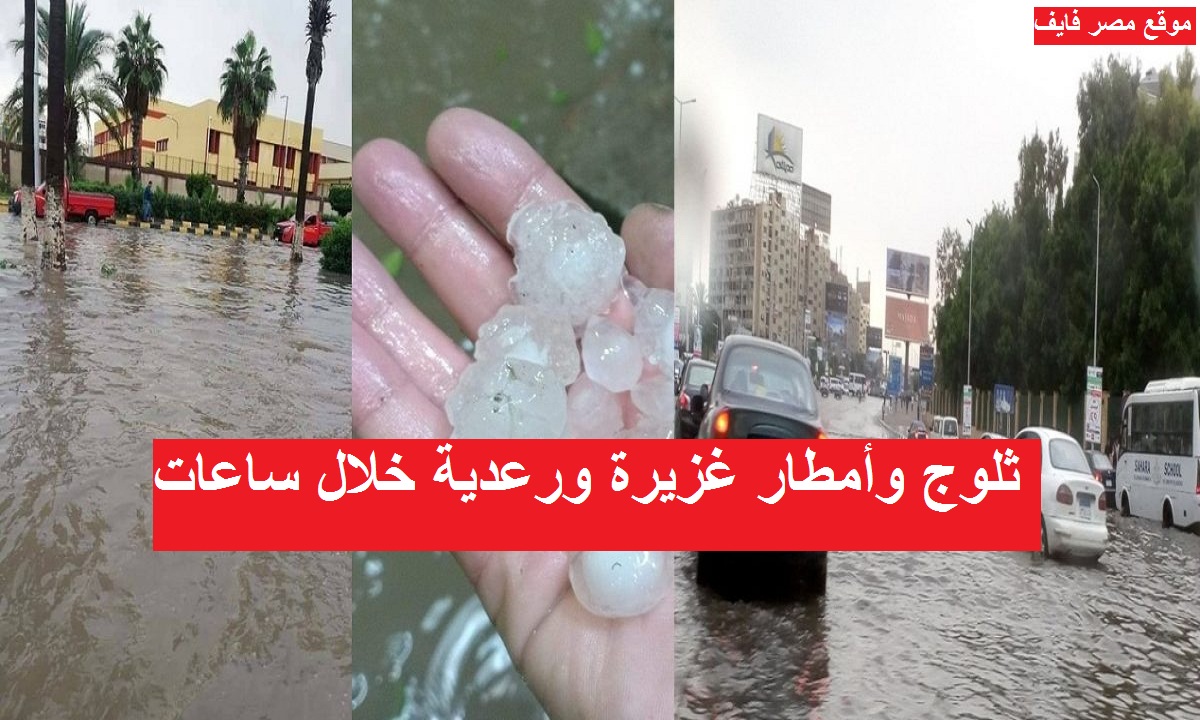 "أسيوط" ترفع درجة الاستعداد القصوى تحسبا لنشاط الرياح واحتمالية سقوط أمطار غدا وبعد غد 1 5 141710613983