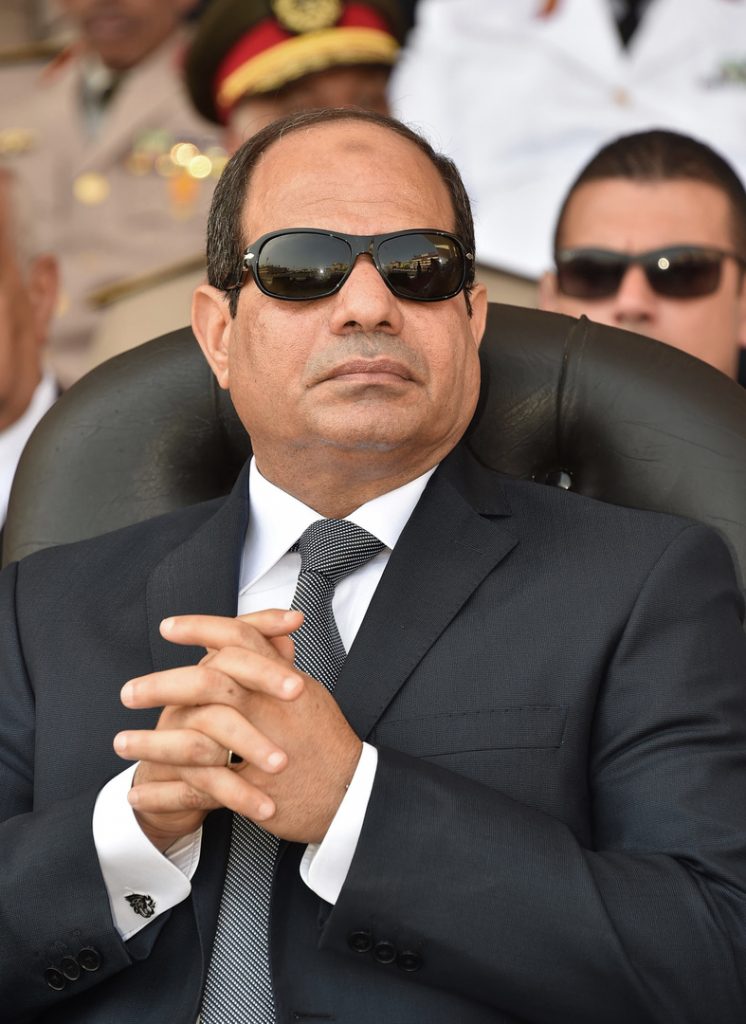 السيسي يؤكد سعي مصر لتحقيق طفرة في مساحة الأراضي الزراعية والتوسع الرأسي 1 619cc79d4c59b7125b7d89981709465583