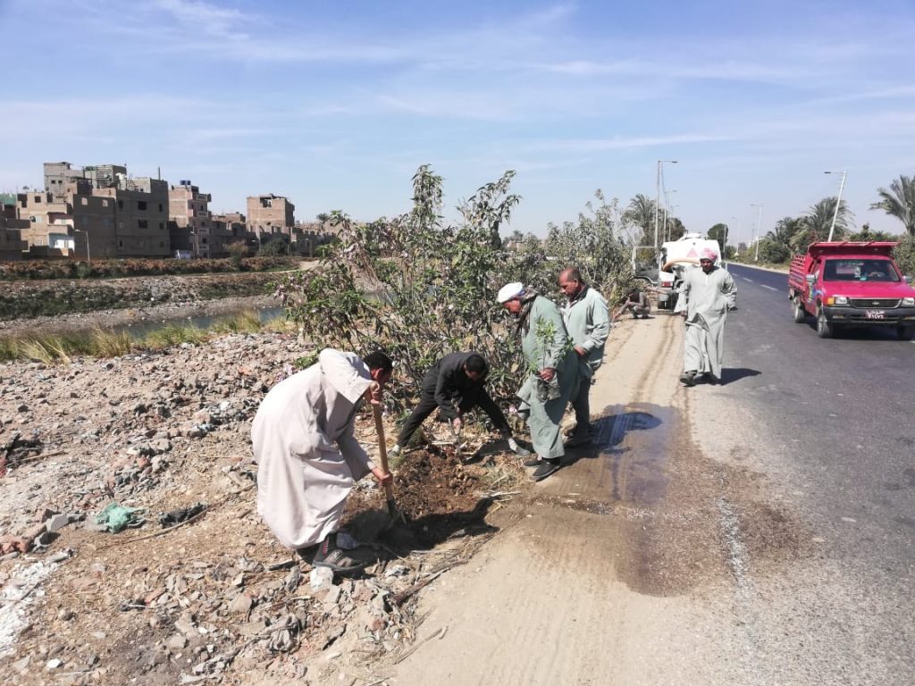 محافظ الدقهلية: رفع 750 طن مخلفات وزراعة 100 شجرة مثمرة في شوراع وميادين المنصورة 1 6c41c9e0 8970 4580 8629 c8f6571b16821710518224