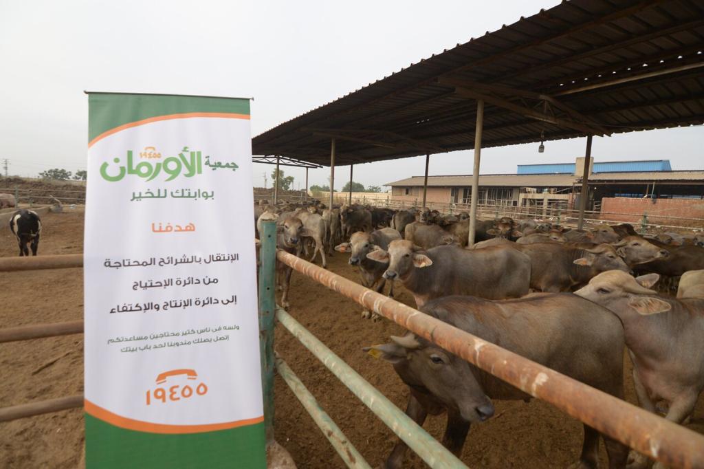 توزيع 45 طنا من اللحوم على الأسر الأكثر احتياجاً بمحافظة قنا 1 IMG 20220708 WA00181710344343
