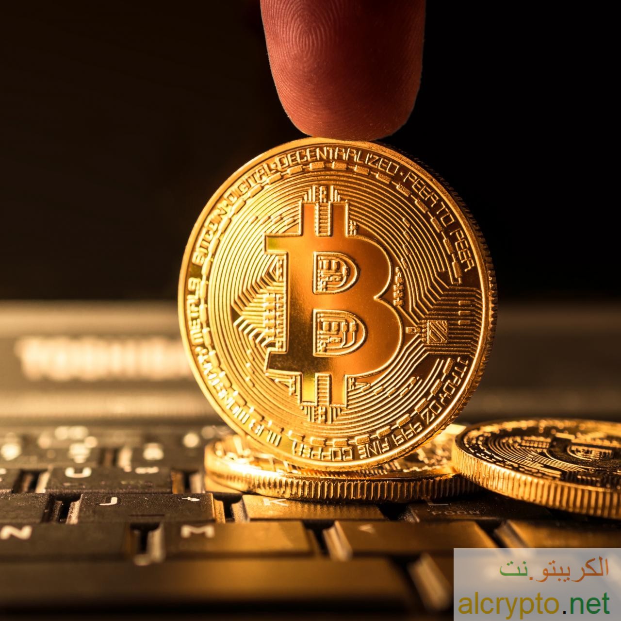 جلوبال (12): تنشر CoinEx أول فيديو للعلامة التجارية: تفسير تنصيف عملة البيتكوين وفلسفة "Less Is More" أي "القليل يعني الأفضل" 1 bitcoin11709659384