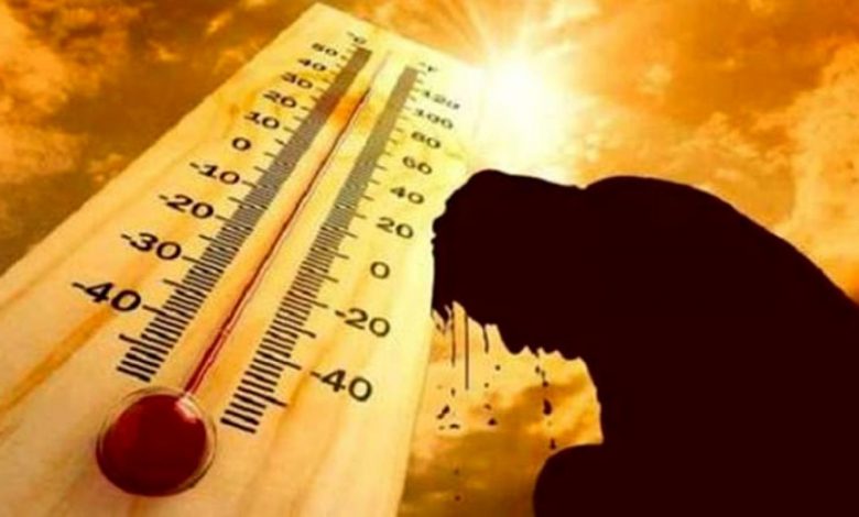 الأرصاد: غدا طقس حار نهارا مائل للبرودة ليلا على أغلب الأنحاء والصغرى بالقاهرة 17 1 elaosboa13605 21710167646