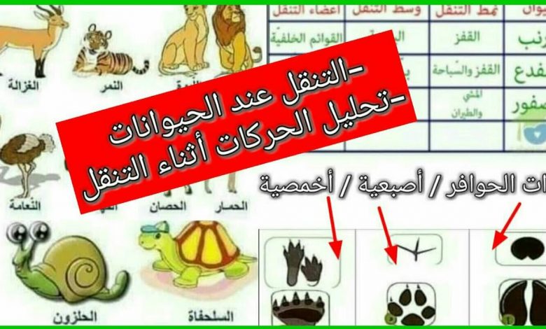 جلوبال (5): الكشف عن توقعات Vantage Markets الأحدث حول التنقل المستدام في الحلقة الثالثة من The Vantage View 1 maxresdefault1711098665