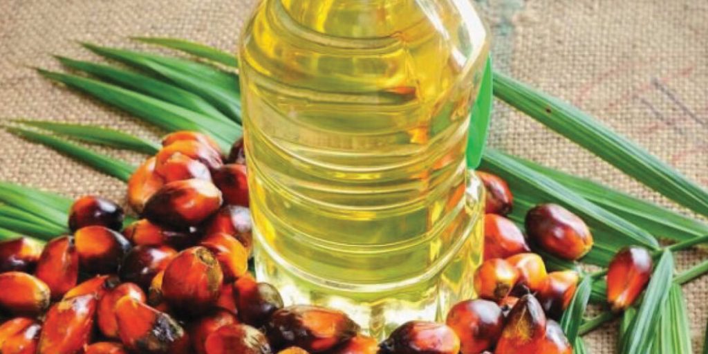 جلوبال (9): مؤسسة RSPO تستضيف أول منتدى لسلسلة توريد زيت النخيل المستدام في أفريقيا بمدينة كيب تاون 1 زيت 1050x5251713381544