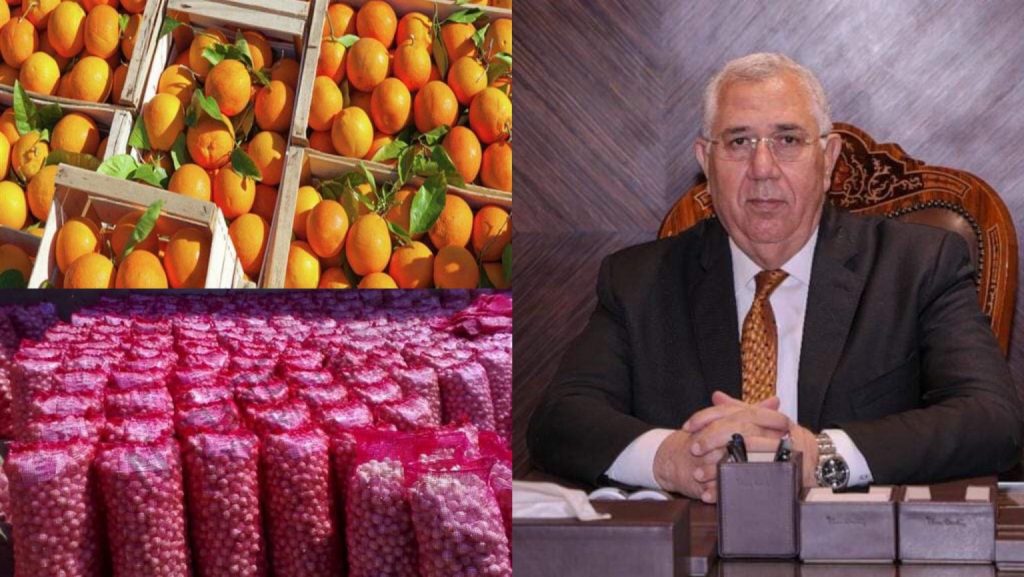 وزير الزراعة يعلن استقبال الأسواق السعودية للبصل المصري 1 وزير الزراعة، وصادرات الموالح والبصل 1536x8661713731527
