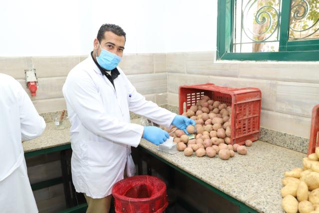 "الزراعة": تجديد الاعتماد الدولي لمعامل مشروع مكافحة العفن البني بالبطاطس للعام الرابع على التوالي 1 1058461712221923