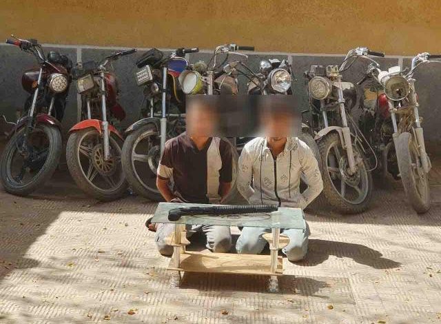 الداخلية تضبط تشكيلا عصابيا تخصص في سرقة الدراجات النارية (توك توك) بالجيزة 1 159126955075880821714043224