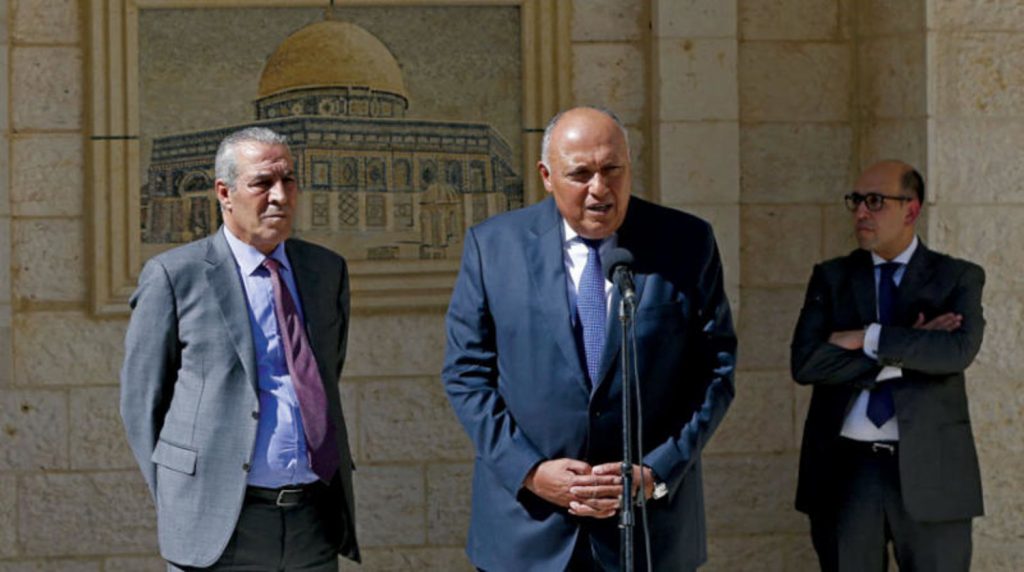 "المصري للشئون الخارجية": التنسيق المصري التركي ضروري لمواجهة التوترات والاضطرابات في الشرق الأوسط 1 16218724205574031001713772572