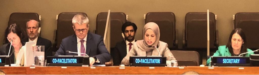 قطر تدعو المجتمع الدولي للتحرك العاجل لنزع فتيل التوتر وخفض التصعيد بالمنطقة 1 20180525 1527281581 779 large1713081069