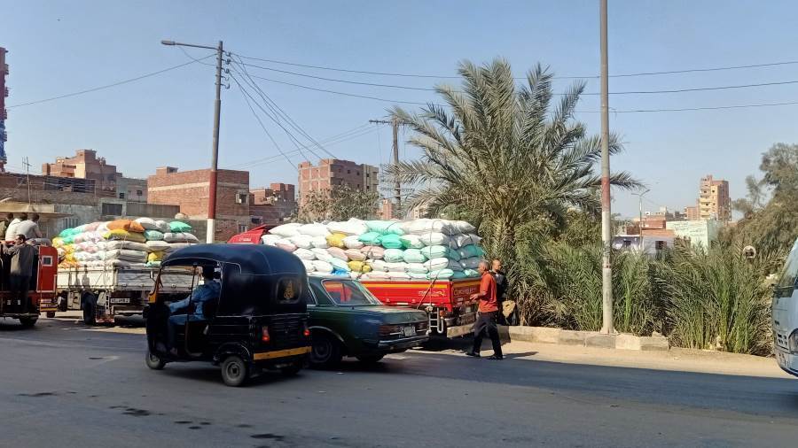 تموين الدقهلية: توريد 530 طن قمح لمواقع التخزين حتى الأن 1 39629231713423548
