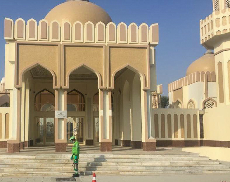 القاهرة تستعد بكامل قوتها لاستقبال عيد الفطر.. وتأمين احتياجات المواطنين في المقدمة 1 74214 10 16512398061712317263